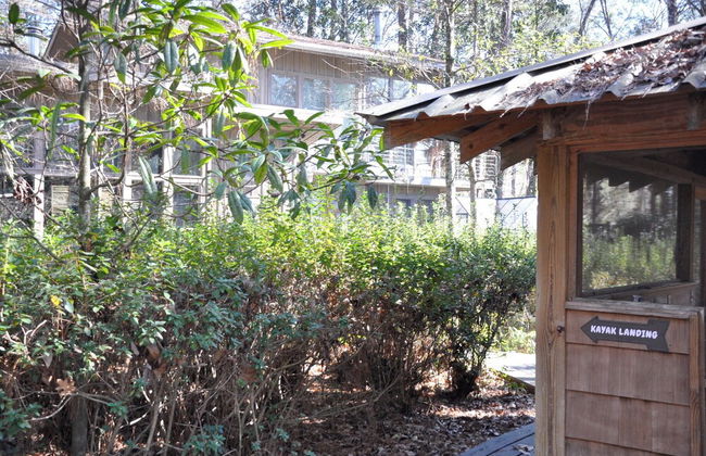 Little River Bluffs - Foto 51