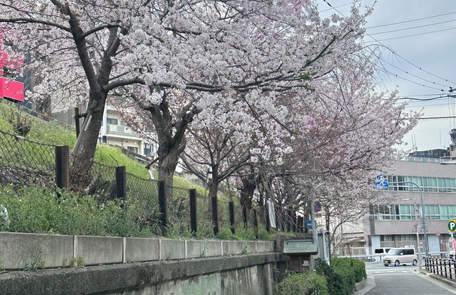 Tabi Time Kishinosato Miyama - Foto 37