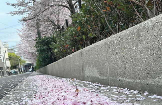 Tabi Time Kishinosato Miyama - Foto 35