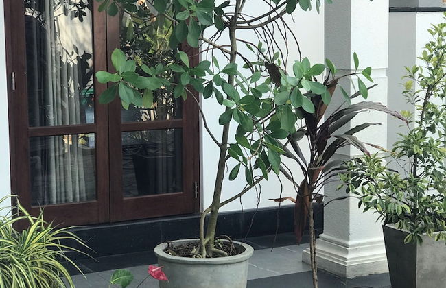 Villa Pearl Breeze - Foto 14