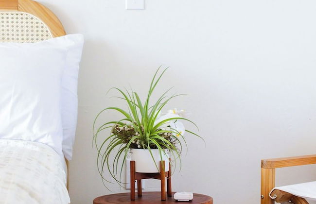 Galleon Beach Resort - Foto 4