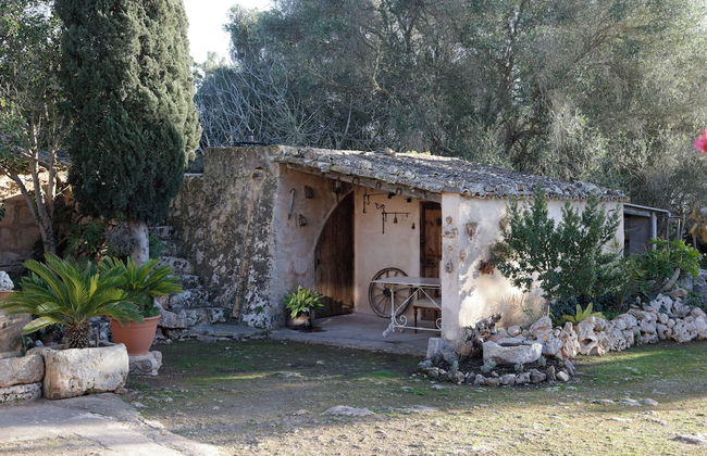 Finca Son Pieras - Photo 30