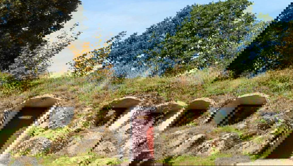 Image principale
