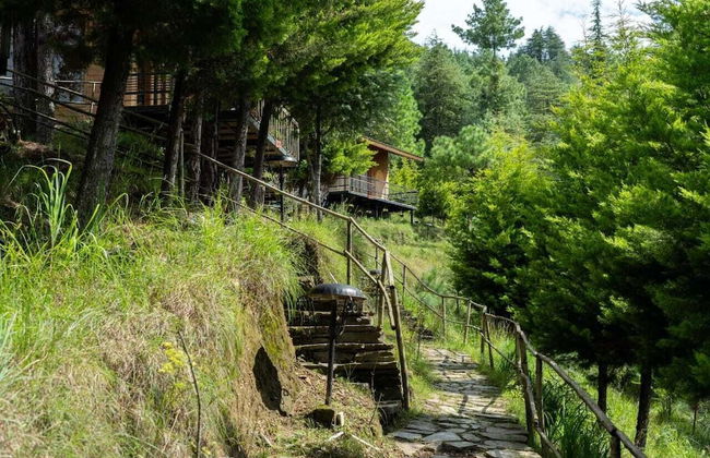 Nirvana Dhar Nature Resort - Photo 16