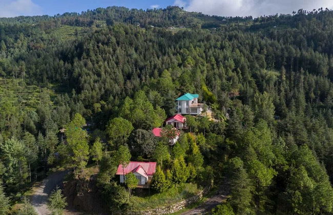 Nirvana Dhar Nature Resort - Photo 15