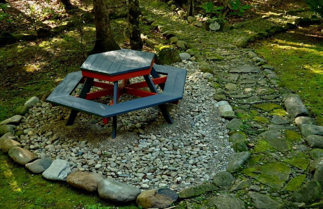 Elk Run On Cosby Creek - 2 Bedrooms, 2 Baths, Sleeps 7 Cabin by RedAwning - Foto 44
