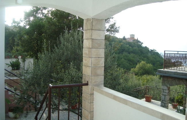 Marija - Olive Garden - A1 - Foto 1