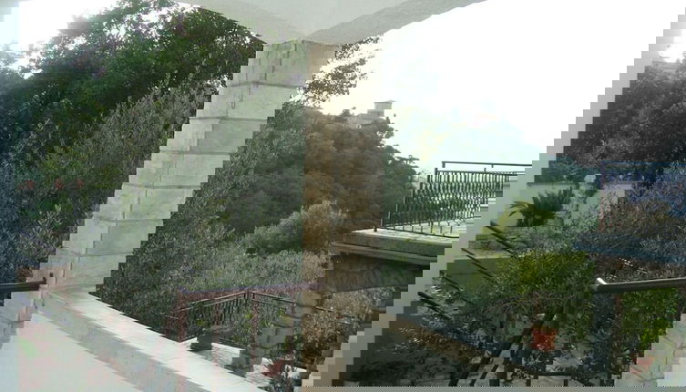 Foto 1 - Marija - Olive Garden - A1