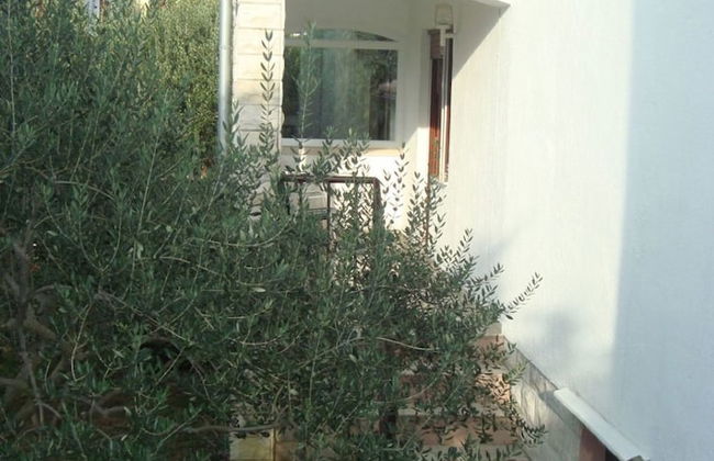 Marija - Olive Garden - A1 - Foto 16