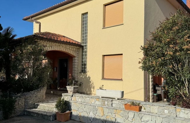 Marija - Olive Garden - A1 - Foto 14