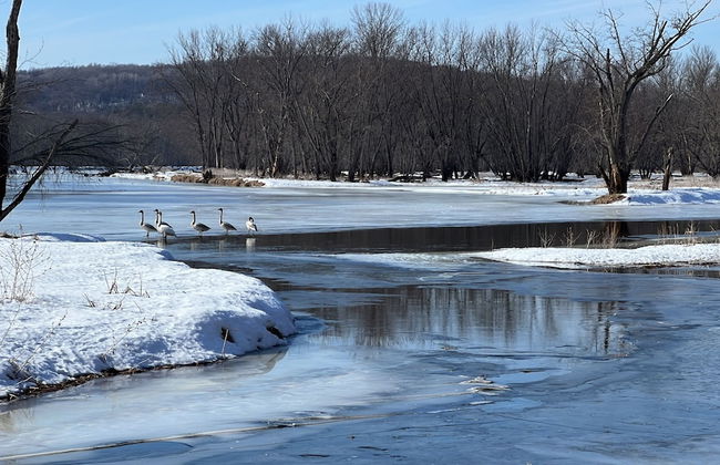 Somerset River Retreat - Foto 29