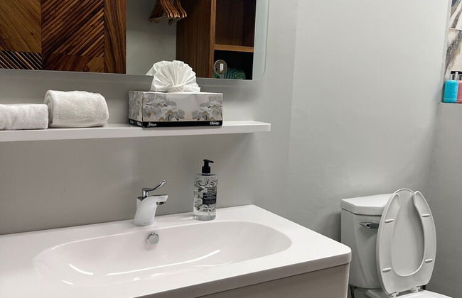 Family Vacation Home, 10 Miles From Downtown Pv Romantic Zone, Ocean Frontage - Foto 48