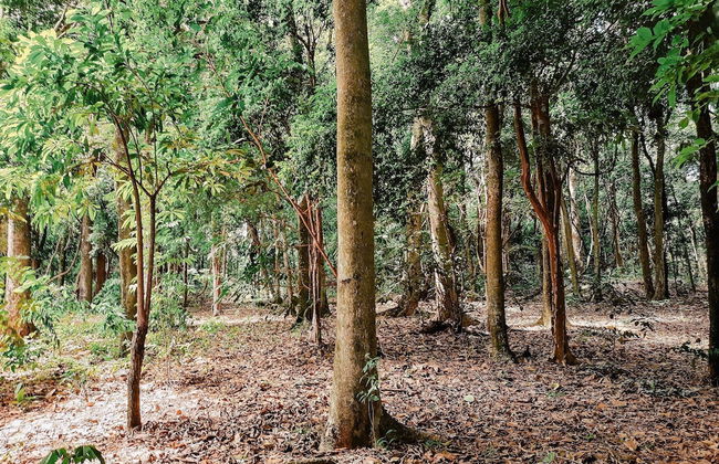Recanto das Videiras - Foto 32