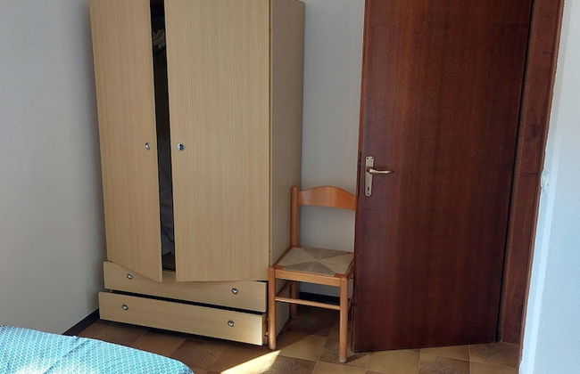 Delfini - Foto 3