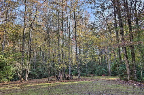 Photo 37 - 5-acre North Georgia Mountain Retreat w/ Creek