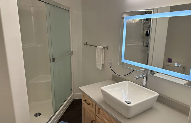 LUXURY DOWNTOWN CONDO TWO BEDROOM - Foto 22