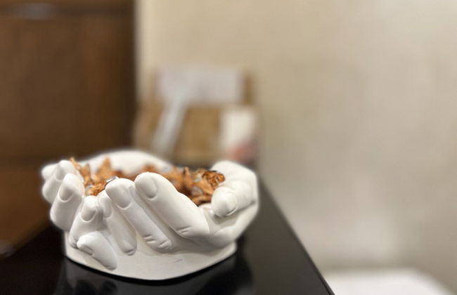 Arch Apart Hotel - Photo 4