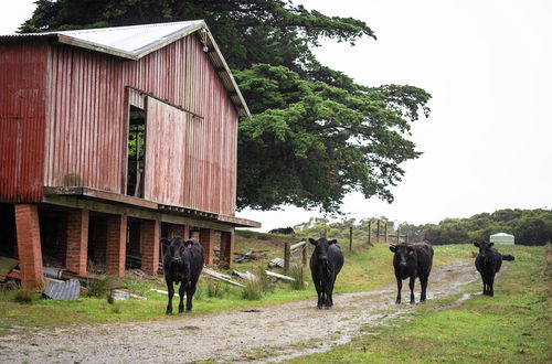 Photo 26 - Icena Farm Accommodation