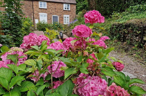 Foto 17 - Lovely 2-bed Cottage in Coalbrookdale Telford