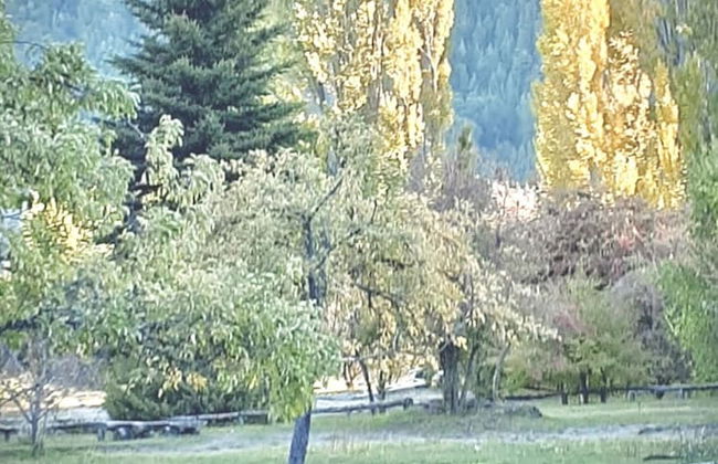 Amazing Cabin on the Shore of Lake Moreno H58 by Apartments Bariloche - Foto 45