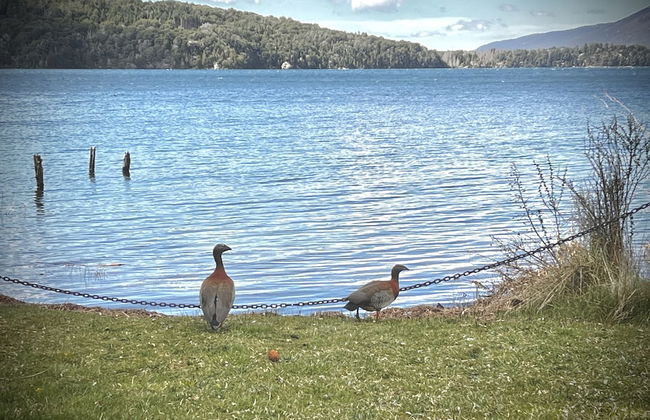 Amazing Cabin on the Shore of Lake Moreno H58 by Apartments Bariloche - Foto 41