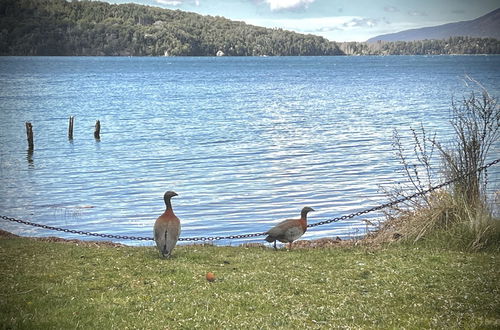 Foto 41 - Amazing Cabin on the Shore of Lake Moreno H58 by Apartments Bariloche