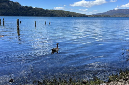 Foto 42 - Amazing Cabin on the Shore of Lake Moreno H58 by Apartments Bariloche