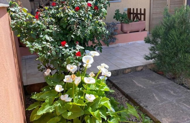 Casa I Corbezzoli - Paduledda - Isola Rossa - Photo 27