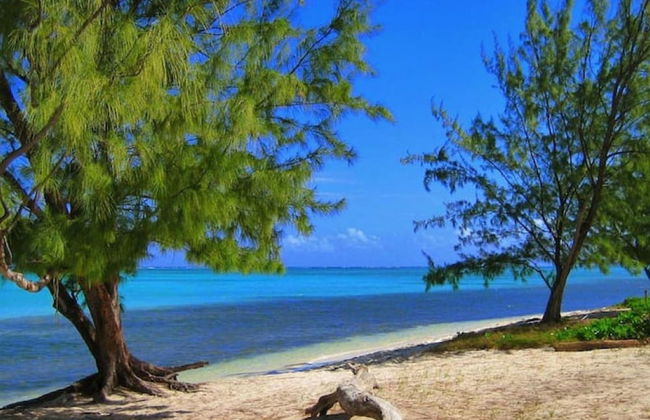 S2B Blue Pavilion - Beach Transfers Meals Tours Island Retro Chic - Foto 40