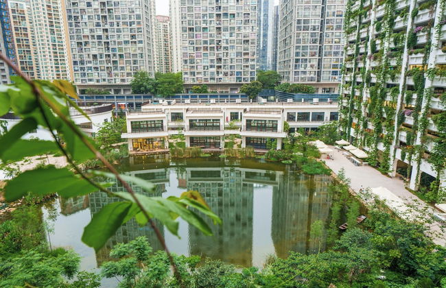 Wutong Hotel Apartment (Bao'an Center) - Foto 47