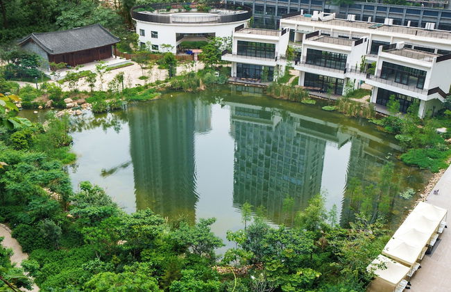 Wutong Hotel Apartment (Bao'an Center) - Foto 79