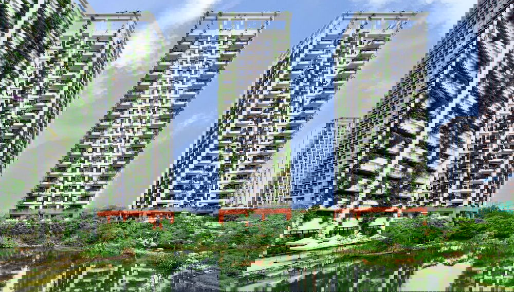 Primary image
