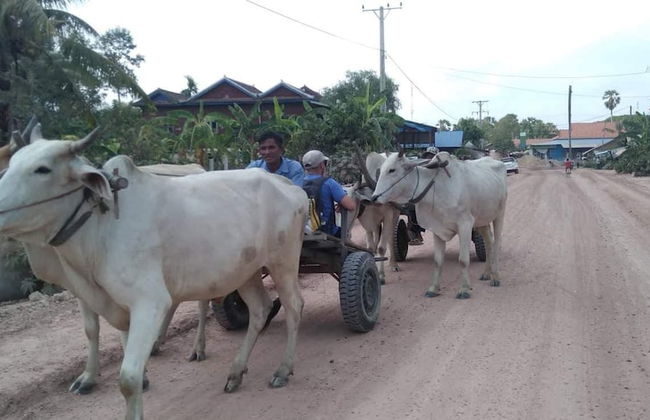 Siem reap Homesteading II - Foto 46