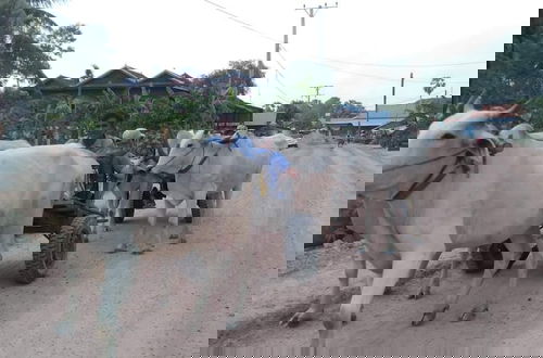 Foto 46 - Siem reap Homesteading II