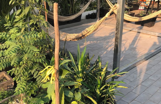 Siem reap Homesteading II - Foto 70