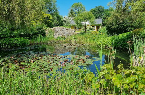 Photo 28 - Glyndwr Vineyard