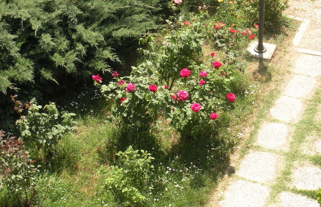 Agriturismo Le Rose - Foto 56