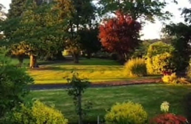 Luxury Cottage Clocktower/royal Hillsborough - Photo 12