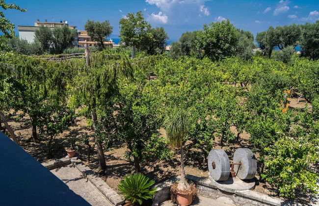Lemon Factor Sorrento - Foto 68