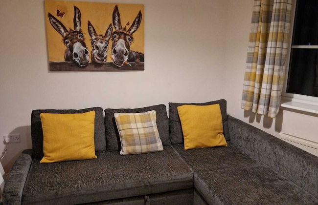 Dog Friendly - 4 Bed House - Sleeps 10 - Pool Table - Photo 10