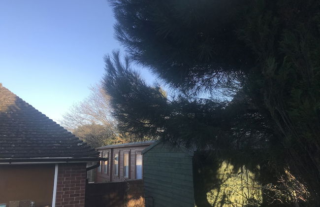 The Oxford Cabin, Captivating, Customisable & Cosy - Foto 18