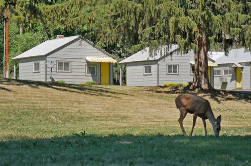 Photo 16 - Idle A While Cabins