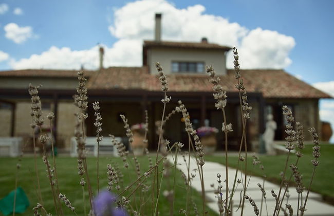 Villa Panorama - Foto 50