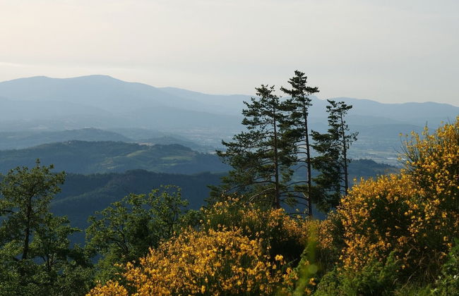 Villa Panorama - Foto 53