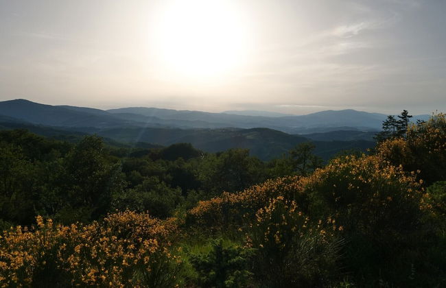 Villa Panorama - Foto 54