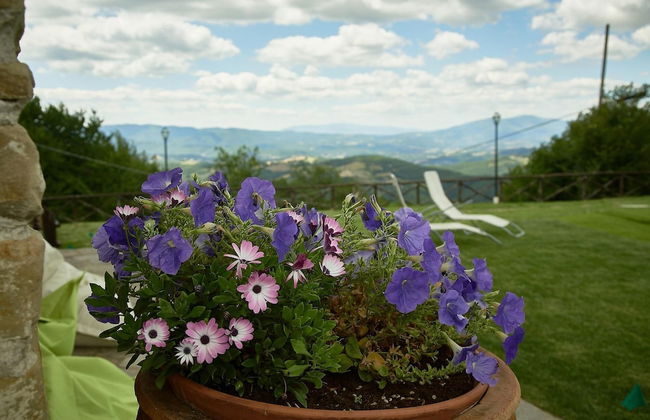 Villa Panorama - Foto 38
