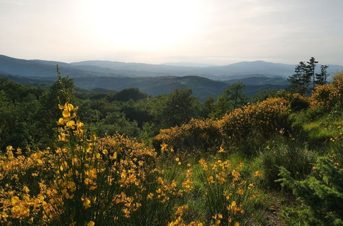 Photo 55 - Villa Panorama