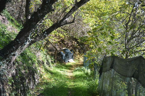 Photo 26 - Cottage in Marliana With Garden