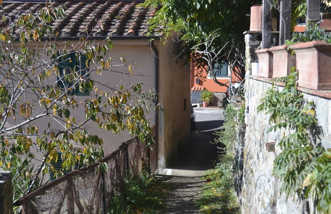 Cottage in Marliana With Private Pool - Foto 22