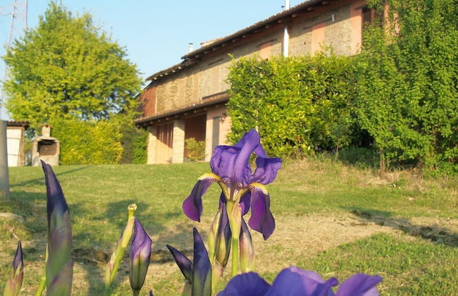 Agriturismo Cà Trinchè - Foto 27